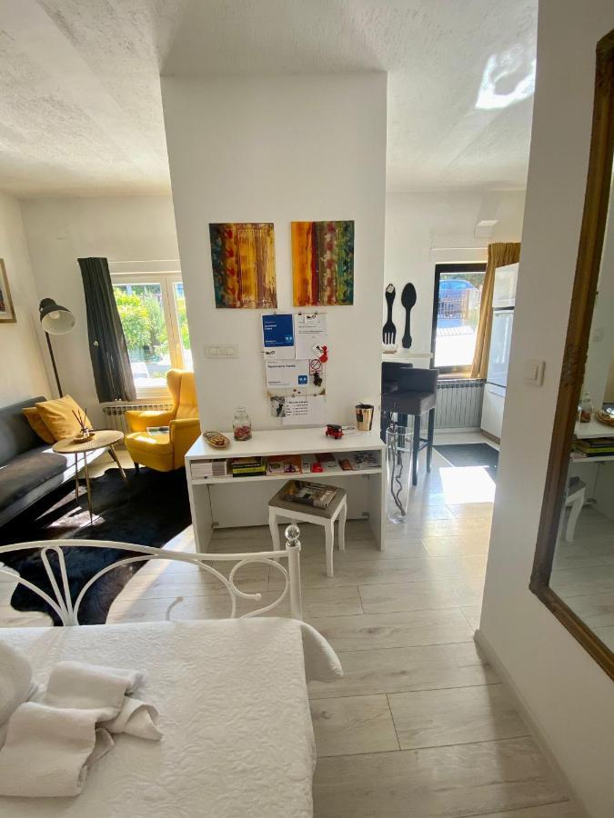 Apartments Franka ساموبور المظهر الخارجي الصورة